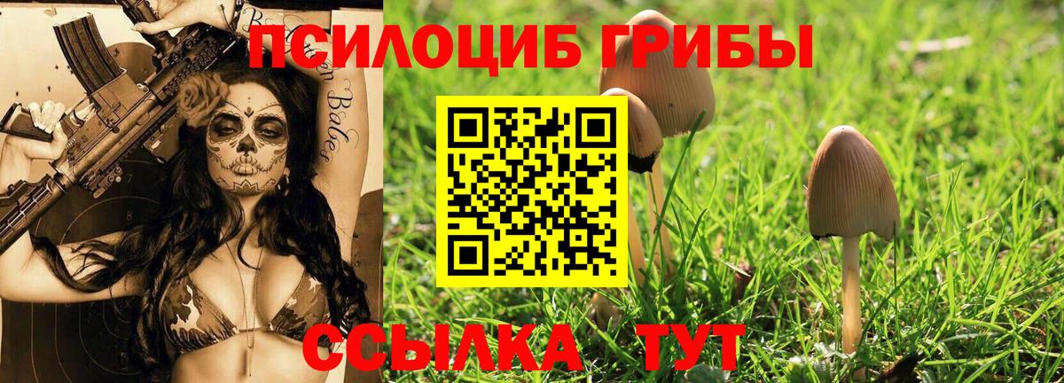 Псилоцибиновые грибы Psilocybine cubensis Маркс
