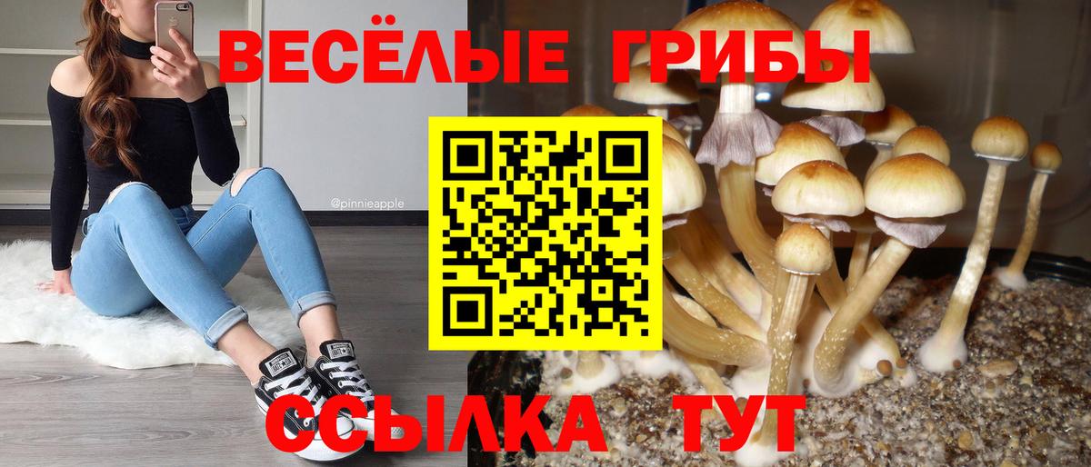Псилоцибиновые грибы GOLDEN TEACHER  Псилоцибиновые грибы прущие грибы  Маркс  Вход с VPN 